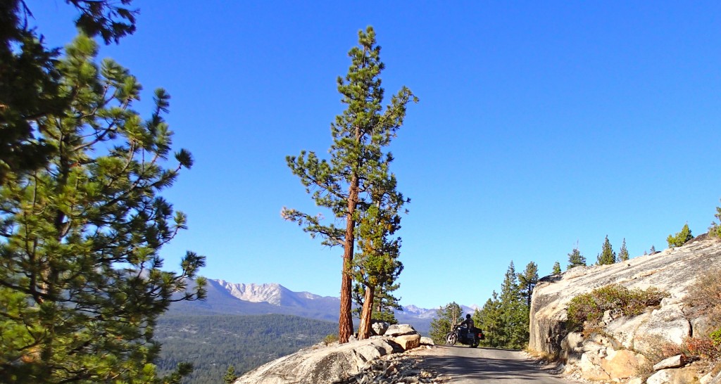 A typical view on Kaiser Pass Road